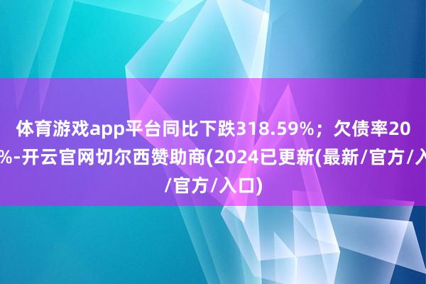 体育游戏app平台同比下跌318.59%；欠债率20.76%-开云官网切尔西赞助商(2024已更新(最新/官方/入口)