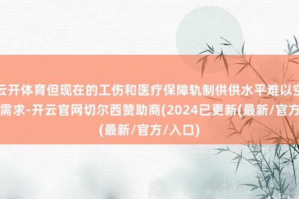 云开体育但现在的工伤和医疗保障轨制供供水平难以空隙本体需求-开云官网切尔西赞助商(2024已更新(最新/官方/入口)